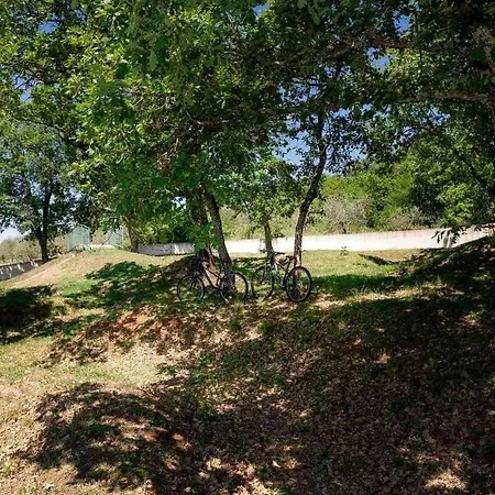 Bellavista Poletti * Višnjan